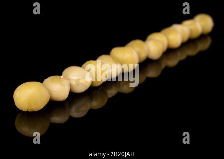 Molta pea intera saporita in scatola isolata su vetro nero Foto Stock