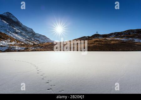 Valmalenco (IT) - Lago Ghiacciato con Pizzo Scalino sul fondo Foto Stock