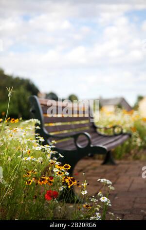 Fiori selvatici fioriscono intorno ad una panchina nel Parco Urbano, Fairfield Park, Bedfordshire. Foto Stock