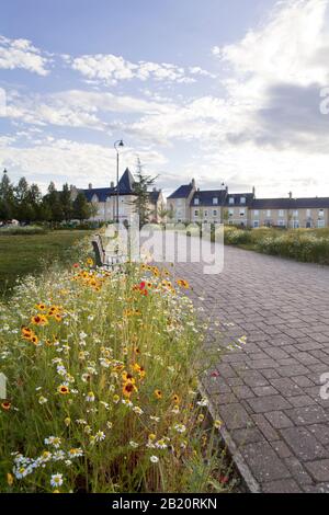 Fiori selvatici in fiore nel Fairfield Park, Bedfordshire. Sullo sfondo si può vedere una piccola parata di negozi locali, tra cui Tesco Express. Foto Stock