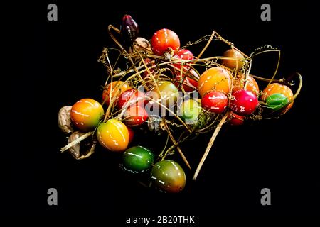 Diversi colori di Bryony nativo o cetriolo striato (Diplocyclos palmatus) con sfondo nero Foto Stock