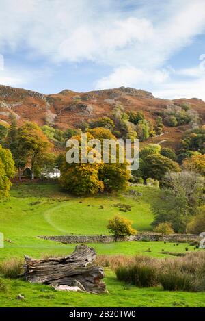 Scena boschiva autunnale vicino a Loughrigg Tarn nella piccola area di Langdale del Lake District National Park, Cumbria, Inghilterra, Regno Unito Foto Stock