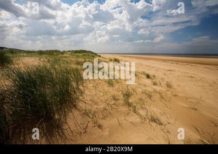 Una magnifica distesa di spiaggia vuota a Holkham Bay nel Nord Norfolk Foto Stock