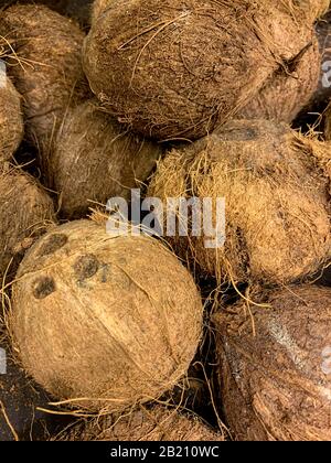 Noci di cocco sul mercato, Panama, America Centrale Foto Stock