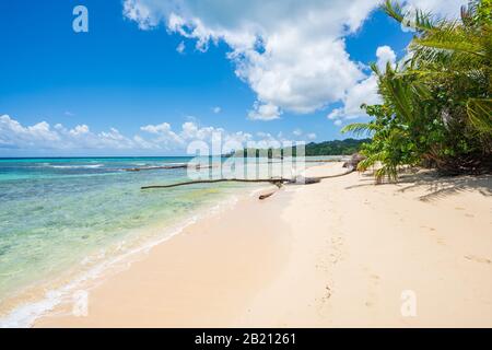 Una vista di spiaggia esotica con mare, sabbia e cielo blu, durante il giorno su una spiaggia pubblica a Rincon Beach, penisola di Samana, Repubblica Dominicana Foto Stock