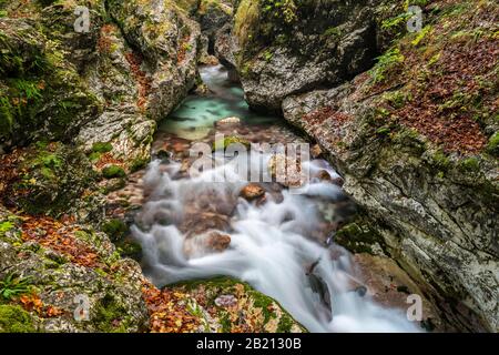 Autumnal Stream, Moznica, Slovenia Foto Stock