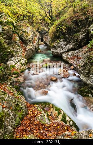 Autumnal Stream, Moznica, Slovenia Foto Stock