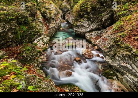 Autumnal Stream, Moznica, Slovenia Foto Stock