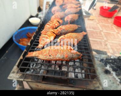 Il pesce è uno degli alimenti più sani e deliziosi che puoi preparare per te. Queste grandi foto di barbecue di pesce vi ricorderanno il gusto. Foto Stock