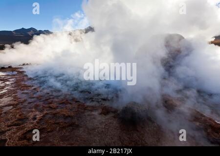 Un geyser ruba all'alba, El Tatio Geyser Field, Ande Mountains, deserto Atacama, Antofagasta, Cile, colore. Geologia in azione. Foto Stock