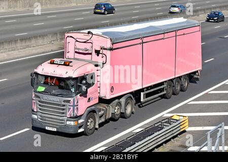 Guardando verso il basso il lato e la parte anteriore del camion rosa hgv Scania con conducente e rimorchio articolato di Robinsons di Worcester un'attività di trasporto su strada nel Regno Unito Foto Stock