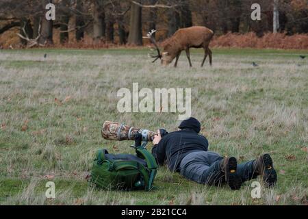 Wildlife Photographers usando obiettivi lunghi, Londra Foto Stock