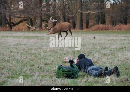 Wildlife Photographers usando obiettivi lunghi, Londra Foto Stock