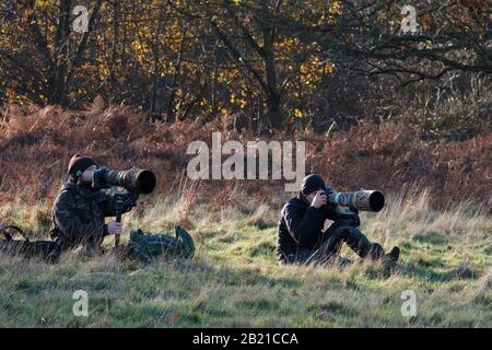 Wildlife Photographers usando obiettivi lunghi, Londra Foto Stock