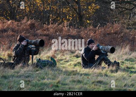 Wildlife Photographers usando obiettivi lunghi, Londra Foto Stock