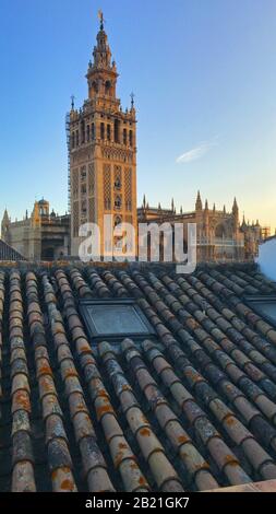 Vista sulla Giralda, il campanile della Cattedrale di Siviglia. Tetto piastrellato con le finestre in primo piano. Cielo blu chiaro. Siviglia, Spagna Foto Stock