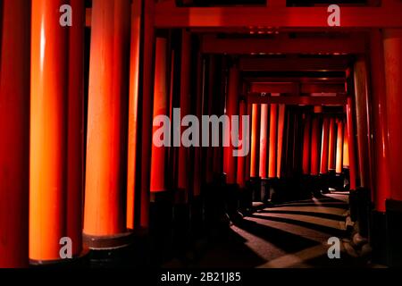 Kyoto, Giappone arancio rosso Fushimi Inari santuario torii cancelli in parco di notte con lanterne illuminazione in fila percorso Foto Stock