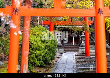 Kyoto, Giappone nel parco giardino primaverile e rosso Takenaka Inari Jinja Santuario Torii porta percorso al tempio ingresso Foto Stock
