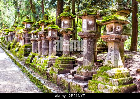 Nara, Giappone - 14 aprile 2019: Kasuga taisha santuario fila di lanterne di pietra sulla strada coperta in verde muschio da alberi di foresta in primavera Foto Stock