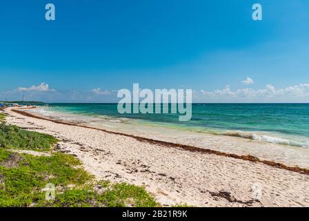 Vista su una spiaggia caraibica vicino a Playa del Carmen, Quintana Roo, Messico, Riviera Maya. Foto Stock