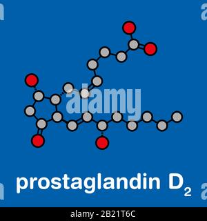 Prostaglandina molecola D2, illustrazione Foto Stock