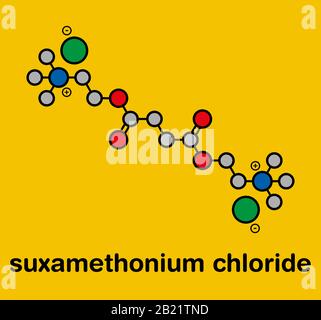 Farmaco rilassante muscolare di cloruro di Suxamethonio, illustrazione Foto Stock