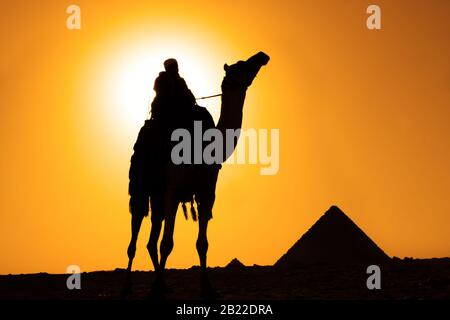 silhouette di piramidi e bedouine cammello al tramonto in egitto cairo giza Foto Stock