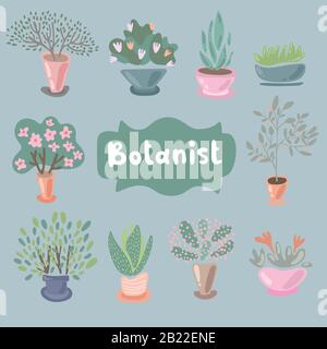 Casa piante e fiori in vasi per arredamento interno. Set di adorabili elementi di progettazione di piante in miniatura. Icona foglia e fiori, vaso fiorito isolato Illustrazione Vettoriale