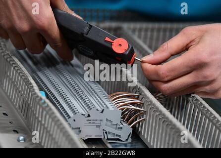 l'elettricista sta usando pinze spelafili elettriche 1313470 Stock Photo su  Vecteezy