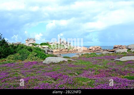 Bel campo di fiori selvatici con il Phare de Ploumanac'h (ufficialmente il Faro Di Mean Ruz) sullo sfondo, Cote de Granite Rose o Pink Gra Foto Stock