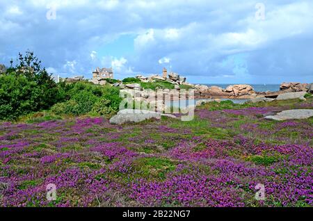 Bel campo di fiori selvatici con il Phare de Ploumanac'h (ufficialmente il Faro Di Mean Ruz) sullo sfondo, Cote de Granite Rose o Pink Gra Foto Stock
