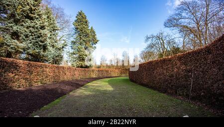 Una curva Formale Faggio Hedge Foto Stock