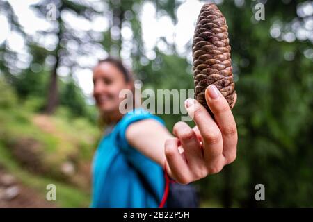 Donna nella foresta che ha un cono di pino Foto Stock