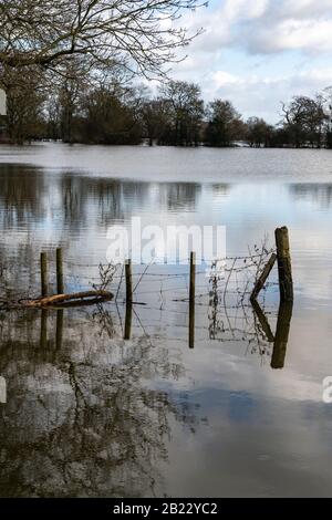 La campagna allagata vicino al villaggio di Melverley, Shropshire dopo il fiume Severn scoppiò le sue banche causando la peggiore inondazione di thew per 20 anni Foto Stock