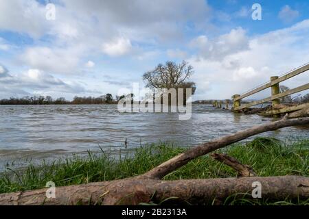 La campagna allagata vicino al villaggio di Melverley, Shropshire dopo il fiume Severn scoppiò le sue banche causando la peggiore inondazione di thew per 20 anni Foto Stock