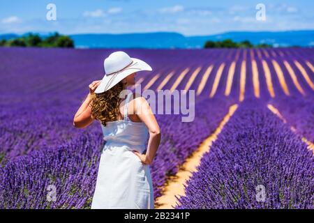 Provenza, Francia. Una ragazza in abito bianco camminando attraverso i campi di lavanda. Foto Stock
