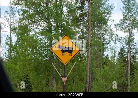 Un lungo segnale di attraversamento del corno davanti ad un albero. Foto di alta qualità Foto Stock