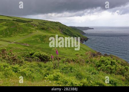 North Devon Coast da Torrs Park Vista ovest da Seven Hills verso Flat Point, Ilfracombe, Devon, Regno Unito Foto Stock