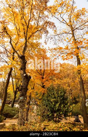 Tianping Shan (Monte Tianping) Durante L'Autunno/Autunno A Suzhou, Provincia Di Jiangsu, Cina. Foto Stock