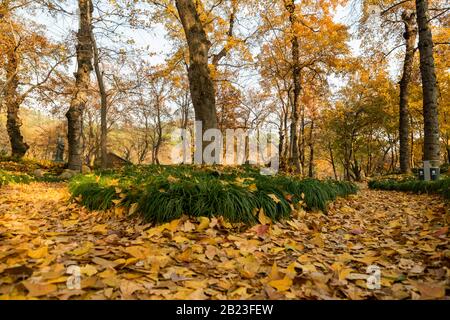 Tianping Shan (Monte Tianping) Durante L'Autunno/Autunno A Suzhou, Provincia Di Jiangsu, Cina. Foto Stock