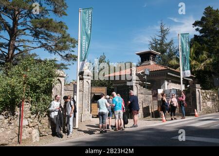 Visitatori all'ingresso del Palazzo Monserrate, Palácio de Monserrate, che è una sontuosa villa situata vicino a Sintra, la tradizionale località estiva Foto Stock