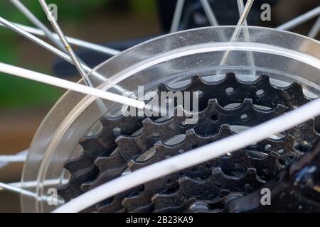 Pulizia e lubrificazione di una catena e di un ingranaggio per bicicletta con spray oleatore. Primo piano, messa a fuoco selettiva Foto Stock