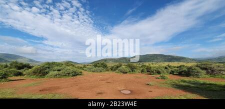 Foto del paesaggio sudafricano con le montagne sullo sfondo e la splendida natura in primo piano Foto Stock