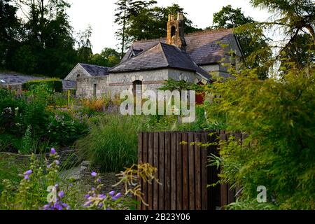 June Blake's Garden,Wicklow,Ireland,Garden,giardini,confine erbaceo,mix,misto,impianto,perennials,RM Floral Foto Stock