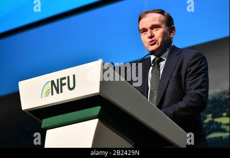 Il deputato di Rt Hon George Eustice, Segretario di Stato per l'ambiente, l'alimentazione e gli affari rurali, che ha parlato alla Conferenza NFU (Unione nazionale degli agricoltori) 2020. Foto Stock