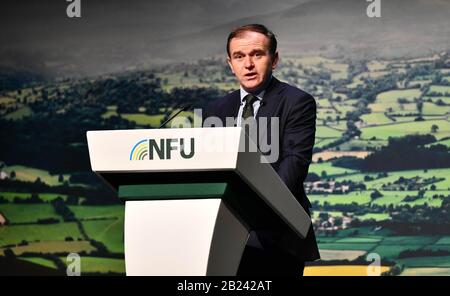 Il deputato di Rt Hon George Eustice, Segretario di Stato per l'ambiente, l'alimentazione e gli affari rurali, che ha parlato alla Conferenza NFU (Unione nazionale degli agricoltori) 2020. Foto Stock