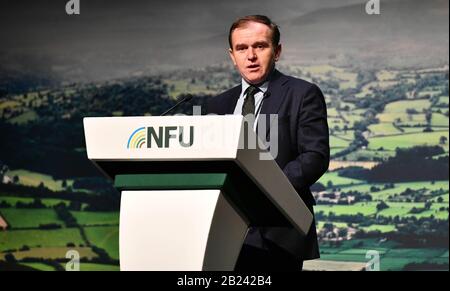 Il deputato di Rt Hon George Eustice, Segretario di Stato per l'ambiente, l'alimentazione e gli affari rurali, che ha parlato alla Conferenza NFU (Unione nazionale degli agricoltori) 2020. Foto Stock