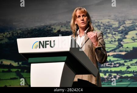 Presidente della NFU (National Farmers Union) Minette Batters parla alla Conferenza NFU di Birmingham nel febbraio 2020. Foto Stock