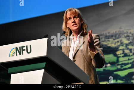 Presidente della NFU (National Farmers Union) Minette Batters parla alla Conferenza NFU di Birmingham nel febbraio 2020. Foto Stock