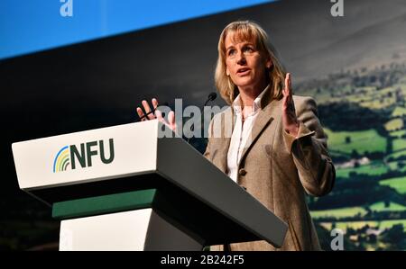 Presidente della NFU (National Farmers Union) Minette Batters parla alla Conferenza NFU di Birmingham nel febbraio 2020. Foto Stock